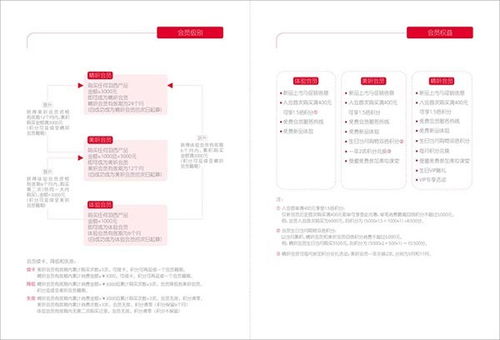四個(gè)石頭 射洪縣畫冊(cè)設(shè)計(jì)與企業(yè)形象策劃的專業(yè)力量